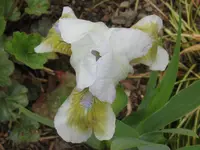 IMG_alsterquelle3_1024x768.webp