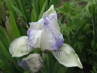 IMG_knick knack5_1024x768.webp
