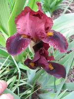 IMG_4853_576x768.webp