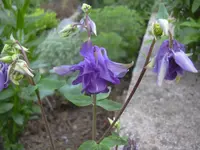 13.5.2010 018.webp