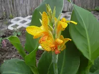 13.5.2010 013.webp