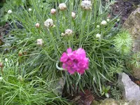 13.5.2010 063.webp