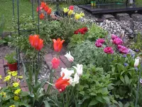 13.5.2010 042.webp