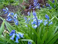DSCF4134.webp