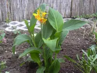 13.5.2010 008.webp
