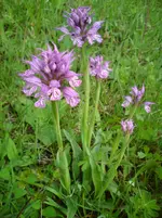 DSC01170.webp