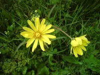 DSC01169.webp