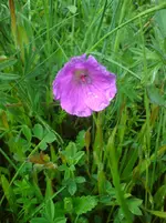 DSC01166.webp