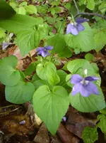 DSC01183.webp