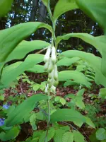 DSC01182.webp