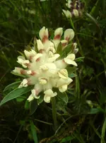 DSC01172.webp