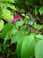 DSC01174.webp