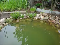 DSC04347.webp