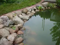 DSC04349.webp