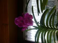 P1040416.webp
