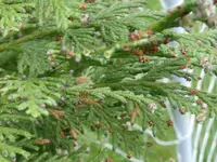 DSCF0514.webp