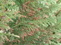 DSCF0516.webp