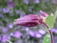IMG_4922_1024x768.webp