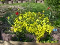 JD500508.webp