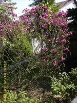 JD500498.webp