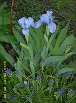 JD500570.webp