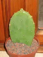 IMG_5021.webp