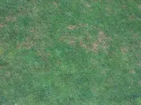 001.webp