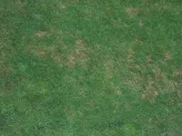 002.webp