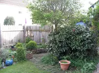 vorgarten1.webp