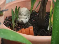 DSCF0845.webp