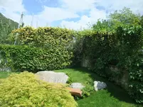 008.webp