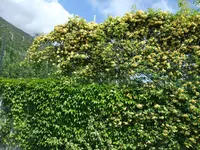 011.webp