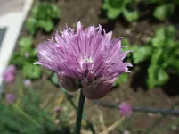 015.webp