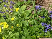 JD500516.webp