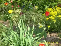 JD500527.webp