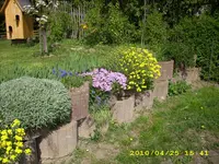 JD500534.webp
