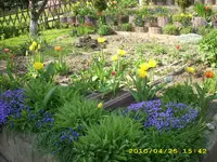 JD500535.webp