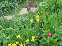 023.webp