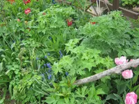 091.webp
