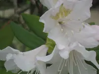 046.webp
