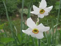 015.webp