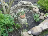 Fotos 001.webp