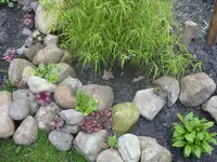 Fotos 003.webp