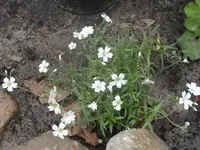 Fotos 010.webp