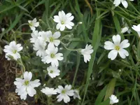 Fotos 019.webp