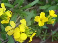 Fotos 020.webp
