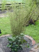 Fotos 021.webp