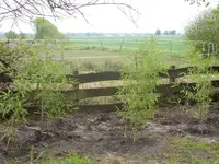 Fotos 023.webp