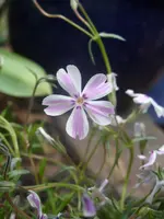Fotos 028.webp