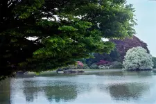 park3.webp